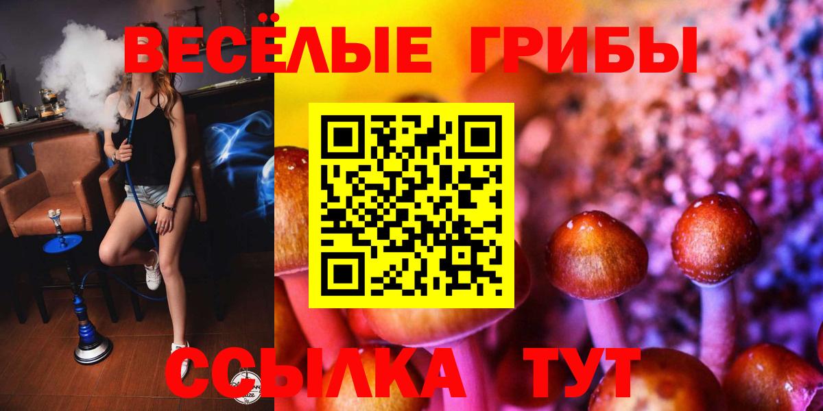 Псилоцибиновые грибы MAGIC MUSHROOMS Муром